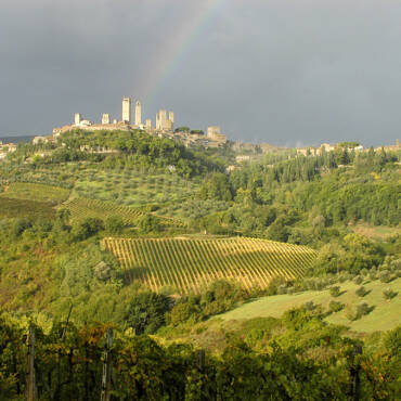 Fontaleoni Vernaccia San Gimignano