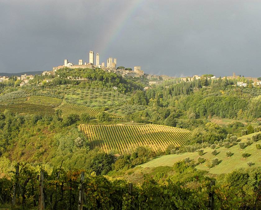 Fontaleoni Vernaccia San Gimignano